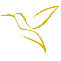 Widget-oker-Ilja-Verstraten afscheidsfotograaf en uitvaartfotograaf Zeeland