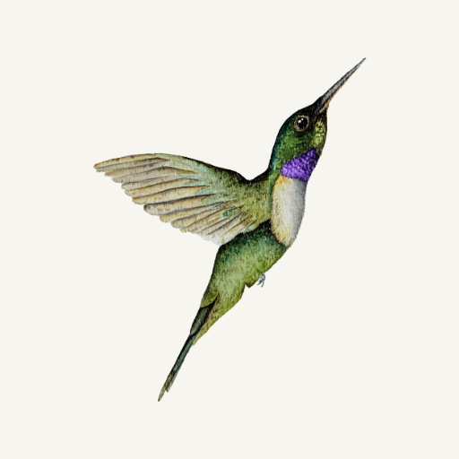 Ontwerp zonder titel (1)