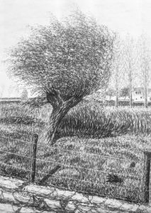 Boom getekend door opa Boeije
